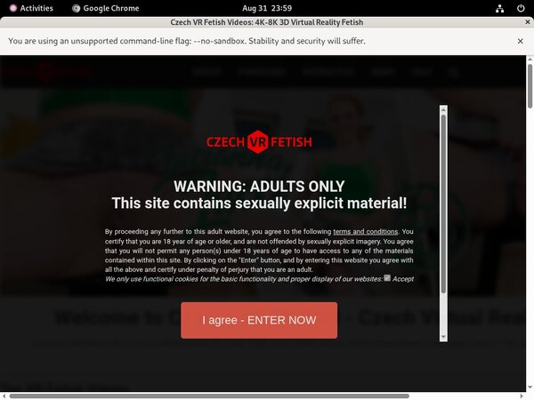 Account Czechvrfetish.com Free