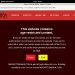 Active Megatitsminka.com Passwords