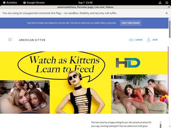 Americankittens Upcoming