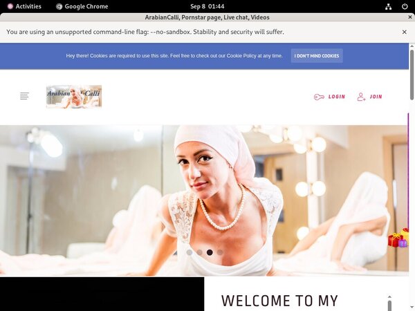 [Image: Arabiancallimodelcentrocom-Pic.jpg]