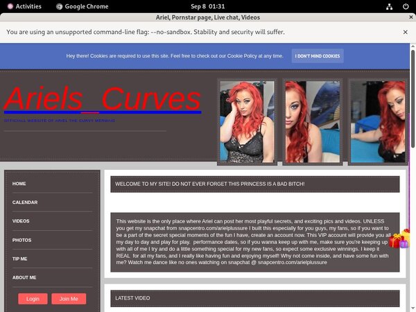Arielplussure.modelcentro.com Accounts For Free