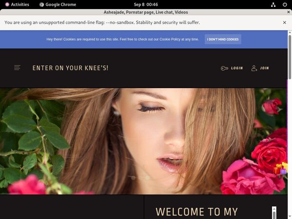 Ashea.modelcentro.com Signup Form