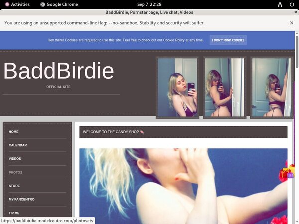 BaddBirdie 2018 Free