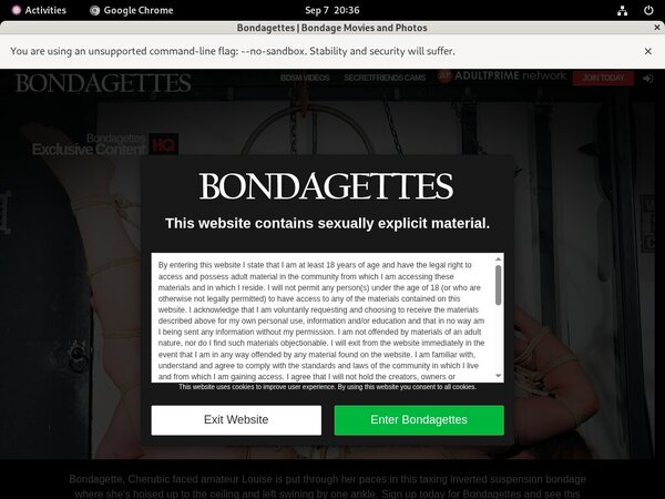 Bondagettes Subscription Deal
