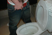 Boys Pissing Wire Payment s1