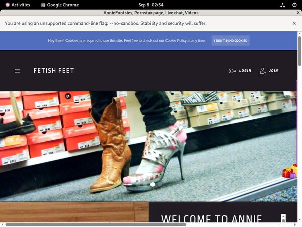 Buy Anniefooties.modelcentro.com Account