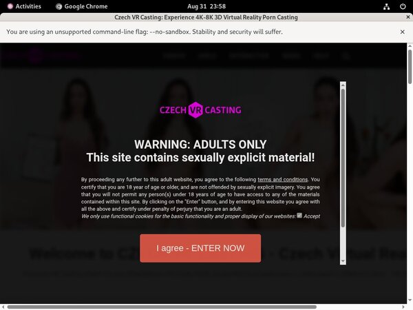 Czech VR Casting Discount Offers
