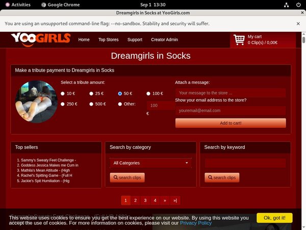 DreamgirlsInSocks Coupon