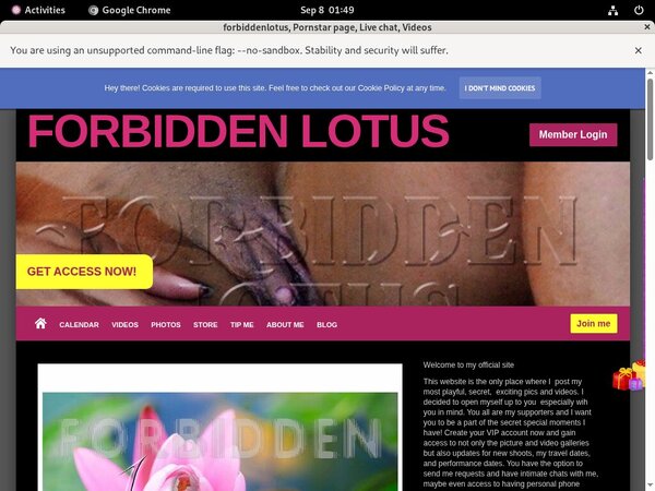 Forbiddenlotus.com Porn