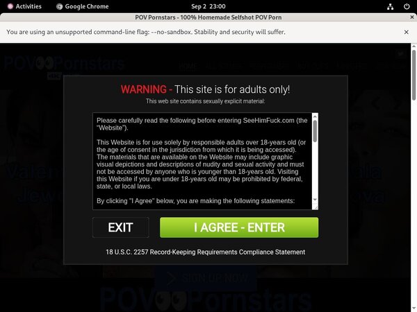 Free Accounts For POV Pornstars