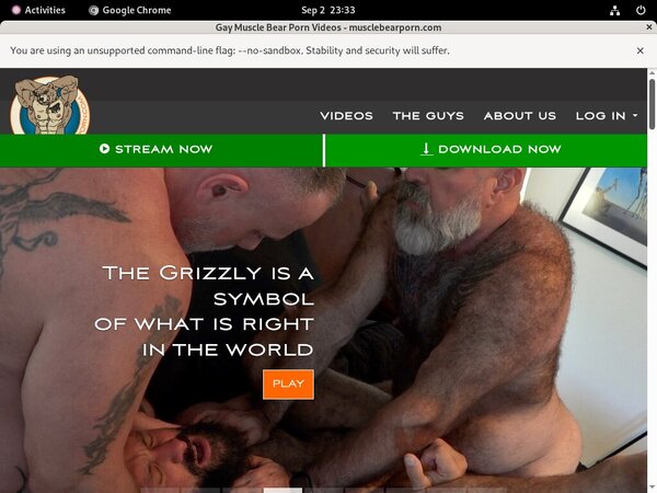 Free Muscle Bear Porn Accounts