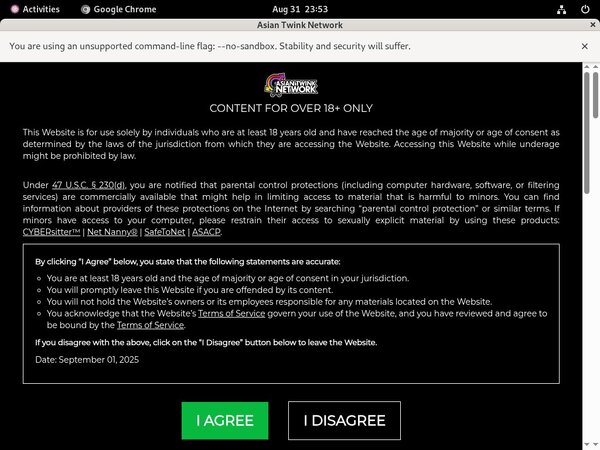 Get Thaigayboys.com Password