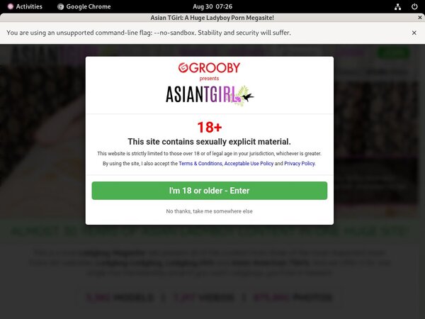 Id Ladyboy-ladyboy.com