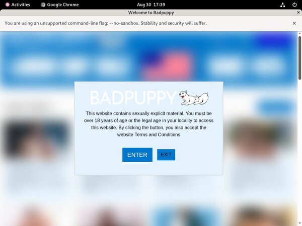 Login For Badpuppy.com