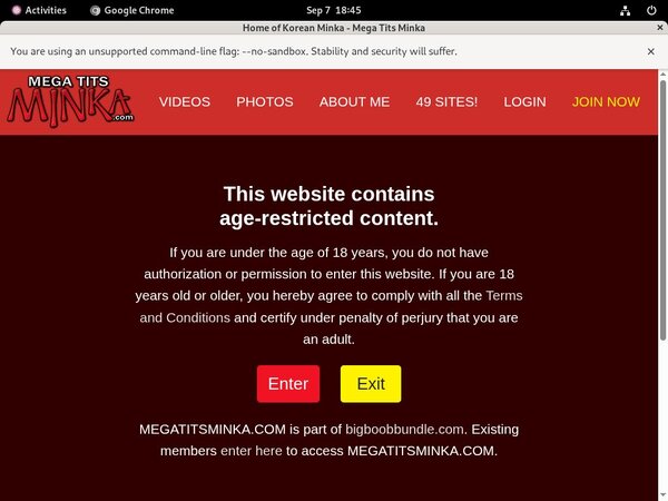 Megatitsminka Free User