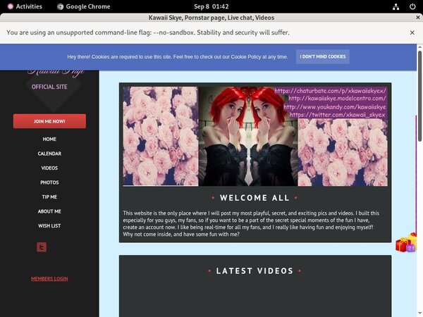Password Free Kawaii Skye