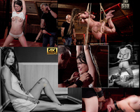 Premium Subspaceland.com Accounts Free s1 Premium Subspaceland.com Accounts Free s1