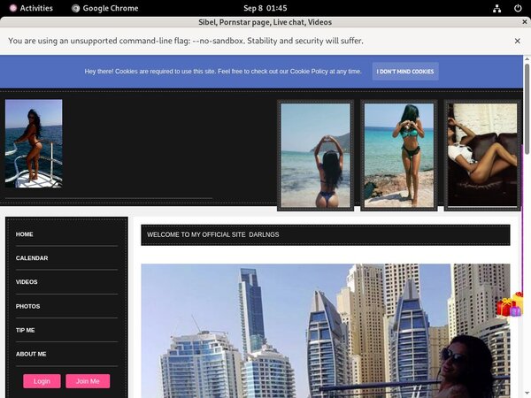 Sibel Membership Discount