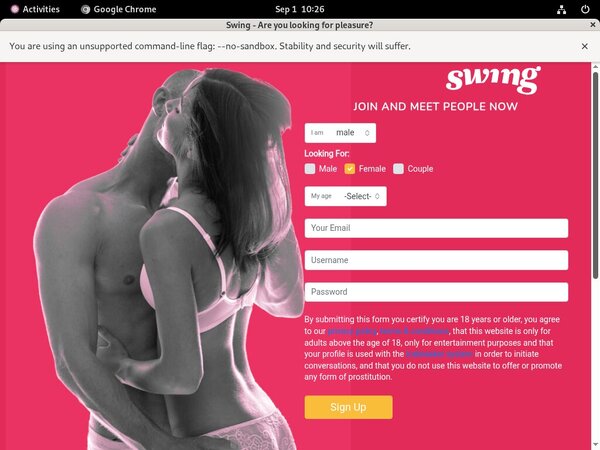 [Image: Swingnet-Access.jpg]