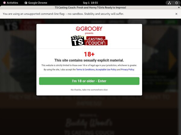 Ts-castingcouch.com ?????