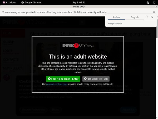 Working Pinkovod Login