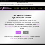 Active Silver Sluts Passwords