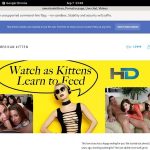 Americankittens Save 50% On 30Day Pass