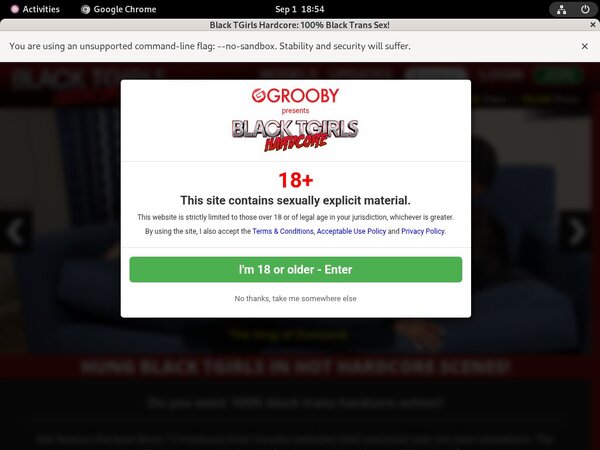 Blacktgirlshardcore.com Account Passwords