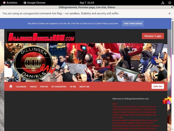 Dillingerdanielsraw.com Account 2015