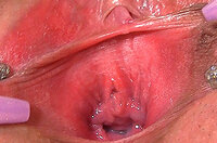 Gape My Pussy Account Login s0