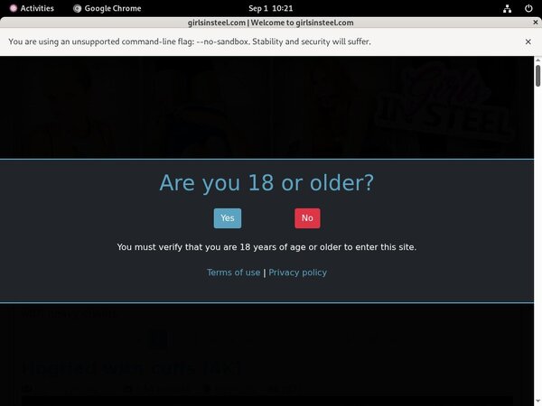 Girlsinsteel Site Passwords