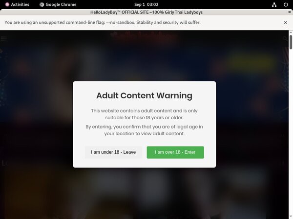 Helloladyboy Site Rip