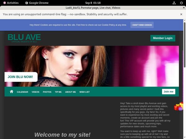 Ladiiblu13.modelcentro.com Download