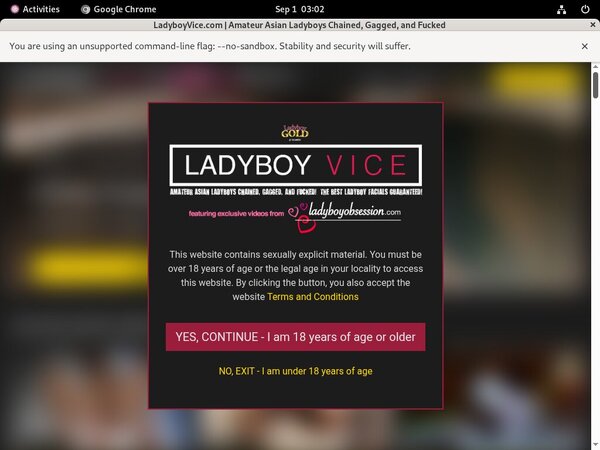 Ladyboy Vice With Westbill