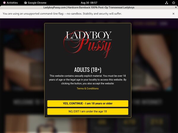 Ladyboypussy.com Cuentas Gratis