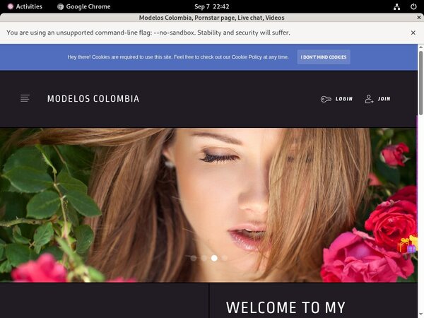 Modelos Colombia Desktop