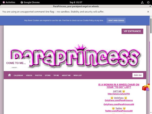 Paraprincess.com Working Accounts