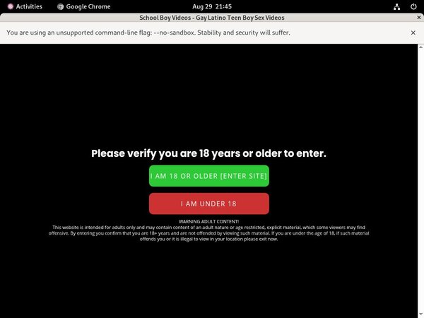 Pass For Schoolboyvideos.com