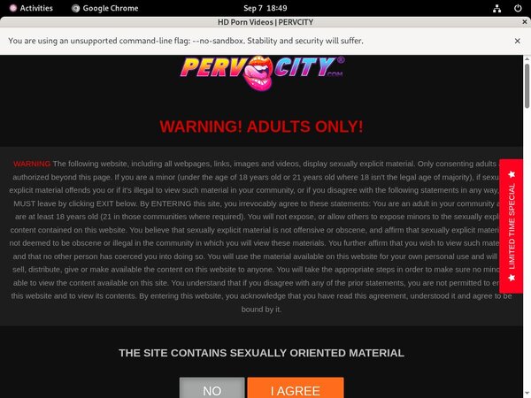 Pervcity Account Share