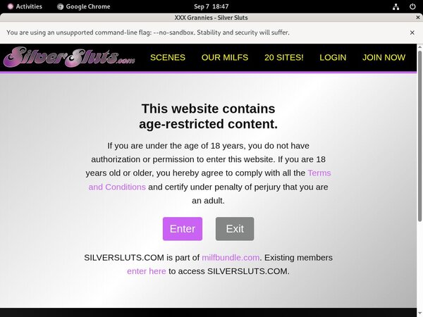 Silver Sluts Videos Free
