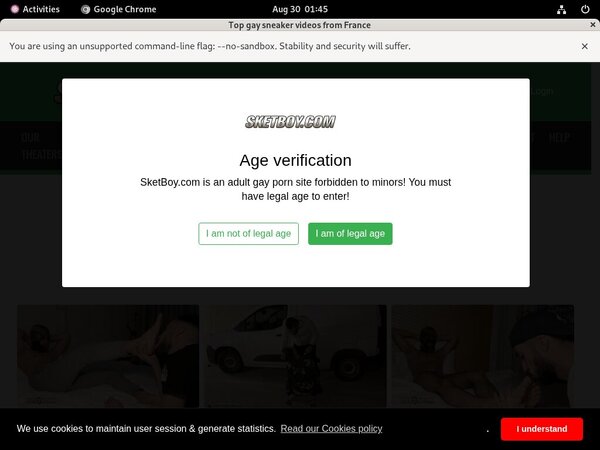 Valid Sketboy.com Passwords