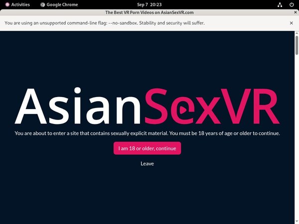Asian VR Sex Ebony