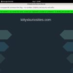 Kittyskuriosities.com Rocket Pay Kittyskuriosities.com Rocket Pay