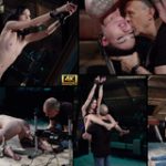 Subspace Land Free Trial 2018